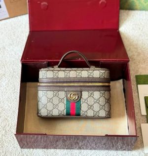 GG Ophidia Vanity Bag