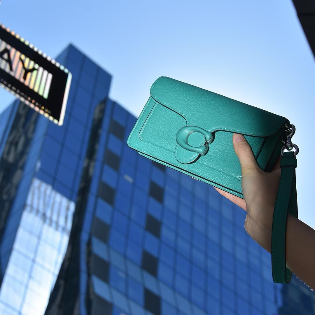 Coa wristlet and shoulder  BAG