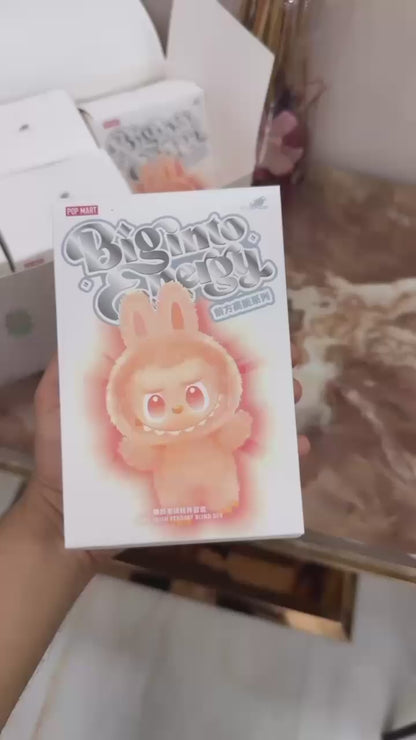 LABUBU MYSTERY - SURPRISE COLOUR